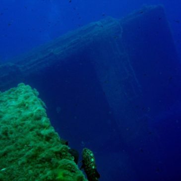 Zenobia Wreck Cyprus Photos 2